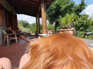 Kalle i Toscana - hunden med familien sydpå