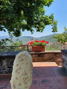 Italienske lækkerier i Toscana - ferie glimt