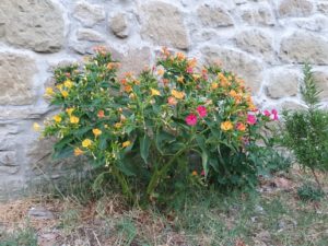 Quota -  den smukke bjerglandsby i Toscana