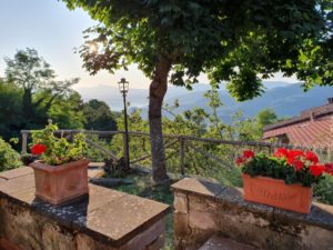 Hvorfor er det lige at jeg ikke bor i Toscana?