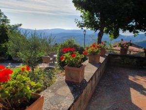 Hvorfor er det lige at jeg ikke bor i Toscana?