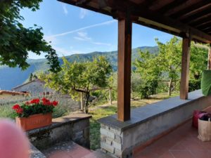 Hvorfor er det lige at jeg ikke bor i Toscana?