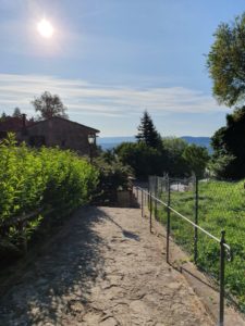 Hvorfor er det lige at jeg ikke bor i Toscana?