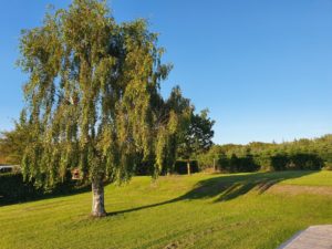 Sommerhus - sommerlykkeglimt i hverdagen
