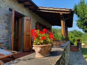 De første lykkeglimt fra eventyrlige Toscana