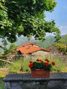 De første lykkeglimt fra eventyrlige Toscana