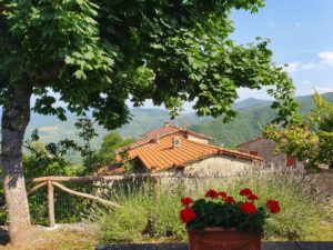 De første lykkeglimt fra eventyrlige Toscana