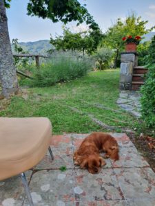 De første lykkeglimt fra eventyrlige Toscana