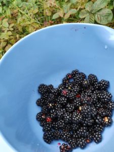 2019-09-01 11.43.56 • nogetiovnen.dk Brombær kage med kokosmarengs - opskrift