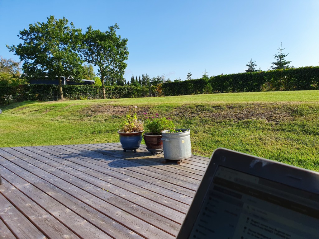 Mandagsfri fugl og livet som blogger