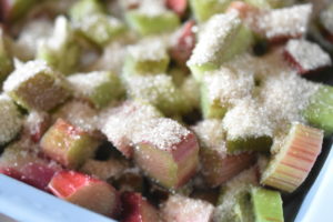 Rabarbercrumble med kokos og havregryn