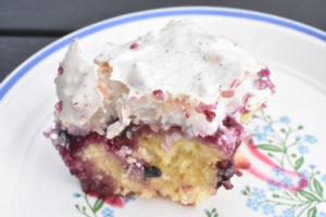 DSC_2407 • nogetiovnen.dk Brombærkage med kokosmarengs - nem kage med brombær