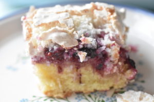 DSC_2417 • nogetiovnen.dk Brombærkage med kokosmarengs - nem kage med brombær