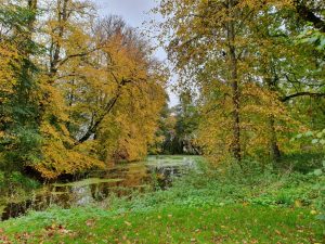 Skønne efterårsglimt