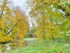 Skønne efterårsglimt