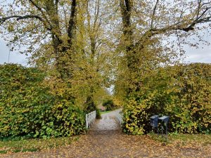 Skønne efterårsglimt