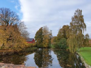 Skønne efterårsglimt