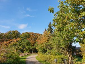 Skønne efterårsglimt