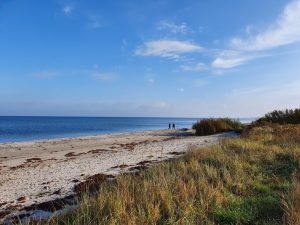 Skønne efterårsglimt