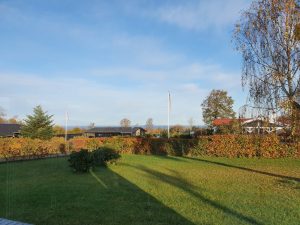 2019-10-28 08.46.24 • nogetiovnen.dk Skønne efterårsglimt - en fortryllende solskinsdag