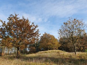 2019-10-28 09.45.49 • nogetiovnen.dk Skønne efterårsglimt - en fortryllende solskinsdag