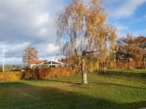 Bagenørden - nemme lette løsninger