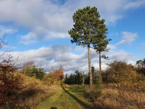 Bagenørden - nemme lette løsninger
