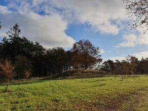 2019-11-10 10.23.07 • nogetiovnen.dk Bagenørden - nemme lette løsninger