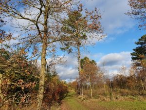 2019-11-10 10.23.25 • nogetiovnen.dk Bagenørden - nemme lette løsninger