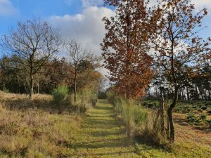 2019-11-10 10.24.06 • nogetiovnen.dk Bagenørden - nemme lette løsninger