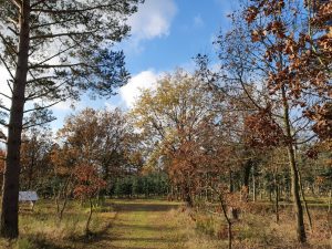 2019-11-10 10.24.12 • nogetiovnen.dk Bagenørden - nemme lette løsninger