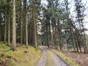 En skøn og lykkelig søndag på Pøt Mølle kro