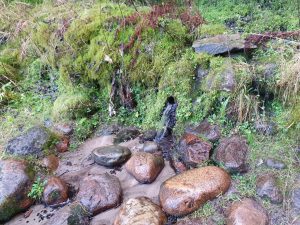 En skøn og lykkelig søndag på Pøt Mølle kro