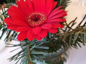 En skøn og lykkelig søndag på Pøt Mølle kro