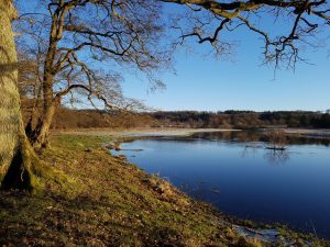 Det der fylder i hjertet, skal man værne om