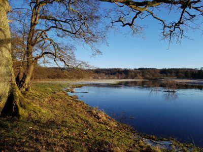 Det der fylder i hjertet, skal man værne om