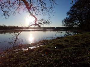 Det der fylder i hjertet, skal man værne om