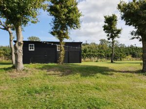 Sommer i sommerhuset