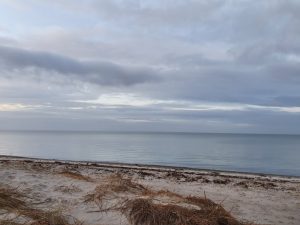 Køb ingenting januar - genbrug og bæredygtighed
