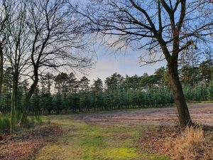 Køb ingenting januar - genbrug og bæredygtighed