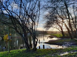 Køb ingenting januar - genbrug og bæredygtighed