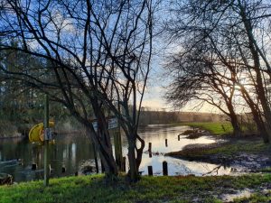 Køb ingenting januar - genbrug og bæredygtighed