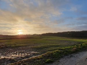 Køb ingenting januar - genbrug og bæredygtighed