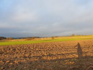 Køb ingenting januar - genbrug og bæredygtighed