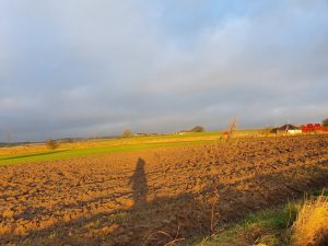 Køb ingenting januar - genbrug og bæredygtighed
