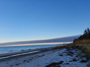 Corona virus - har du også ondt i maven?