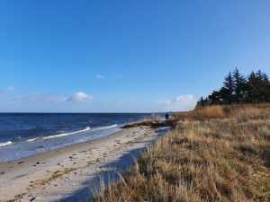 Corona - kaos, kærlighed og kreativitet