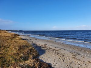 Corona virus - har du også ondt i maven?