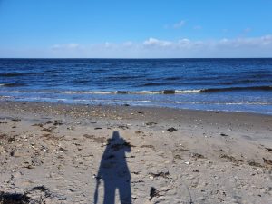 Corona - kaos, kærlighed og kreativitet