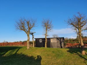 Corona - kaos, kærlighed og kreativitet